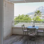 Bay ماكارسكا